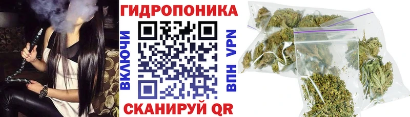 МЕФ Велиж