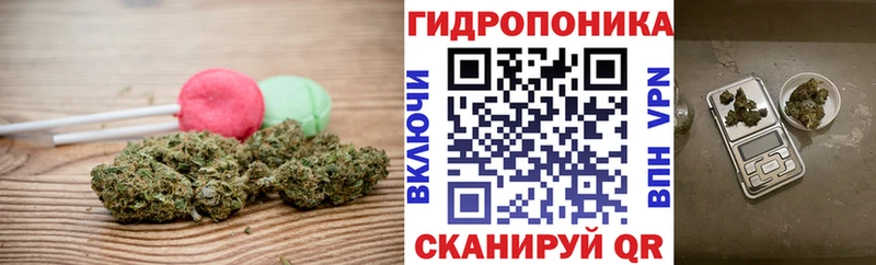 kraken tor  Велиж  Cannafood конопля 